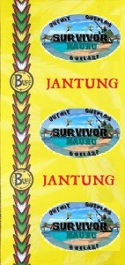 jantung.jpg