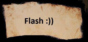 flash-1.jpg